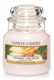 Yankee Candle - vonná svíčka Champaca Blossom, 104 g