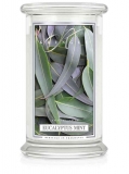 Kringle Candle - vonná svíčka Eucalyptus Mint, 623 g