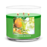 GOOSE CREEK CANDLE - vonná svíčka 3KNOT Orange Blossom, 411g