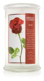 Kringle Candle - vonná svíčka velká, BOTANICAL Rose 624 g