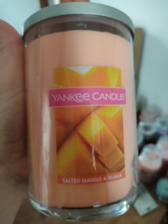 Yankee Candle - vonná svíčka 2knotý tumbler Salted Mango & Guava, 623 g