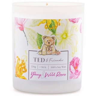 Ted & Friends - vonná svíčka v dárkové krabičce Ylang & Wild Roses,220g