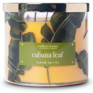 Colonial Candle - vonná svíce Cabana Leaf, 411 g