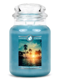 GOOSE CREEK CANDLE - vonná svíčka Tropical Daydream, 680 g