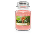 Yankee Candle - vonná svíčka The Last Paradise 623 g