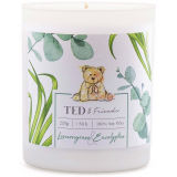 Ted & Friends - vonná svíčka v dárkové krabičce Lemongrass & Eucalyptus,220g