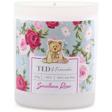 Ted & Friends - vonná svíčka v dárkové krabičce Sevillana Rose,220g