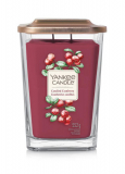 Yankee Candle - vonná svíčka Elevation Candied Cranberry,  553 g