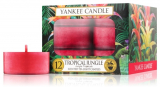 Yankee Candle - čajové svíčky Tropical Jungle 12 x 9,8 g