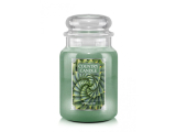 Country Candle - vonná svíčka Spiral Aloe, 652 g