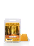 Country Candle – vonný vosk Golden Path, 64 g