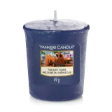 Yankee Candle - votivní svíčka Twilight Tunes, 49 g