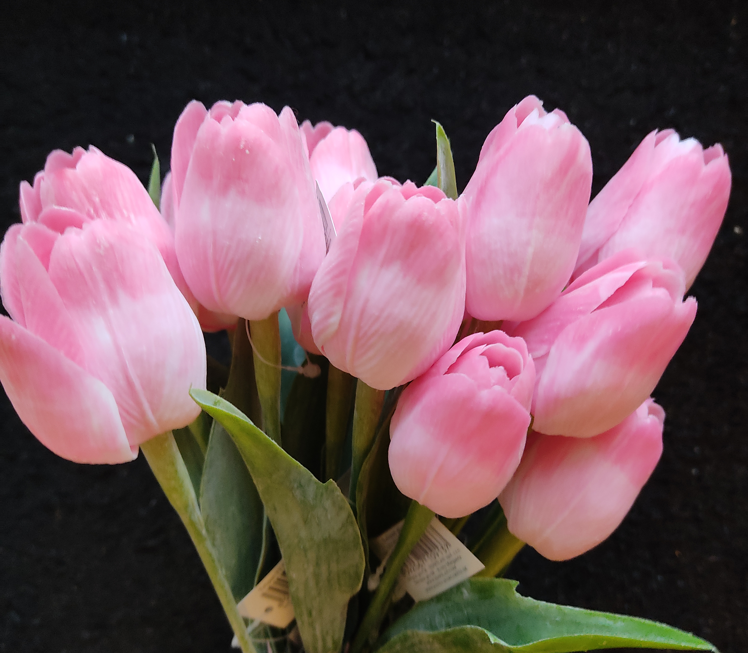 Tulipán s listem TT Pink, 43 cm - dekorace