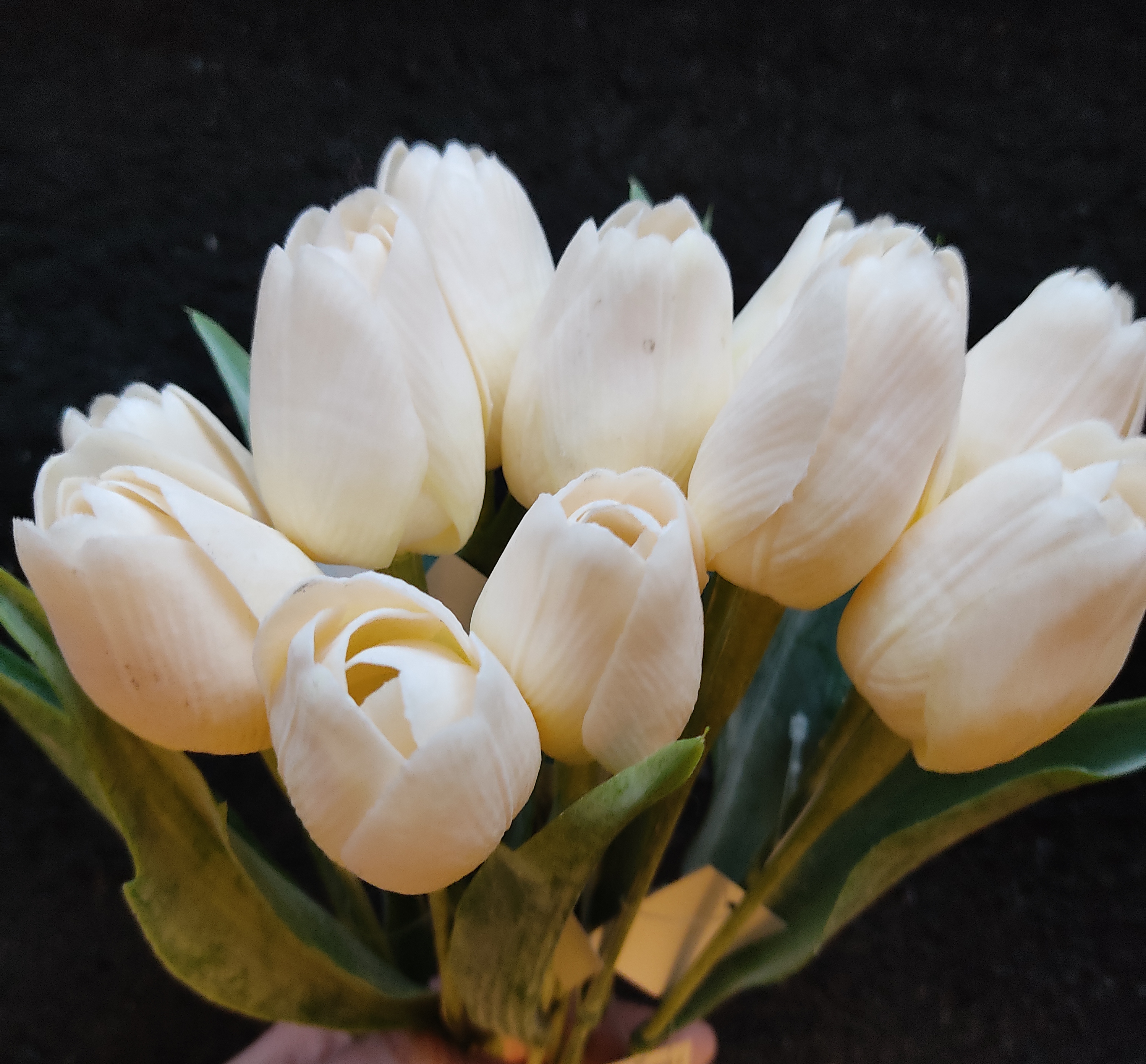 Tulipán s listem Cream / Chiffon, 43 cm - dekorace