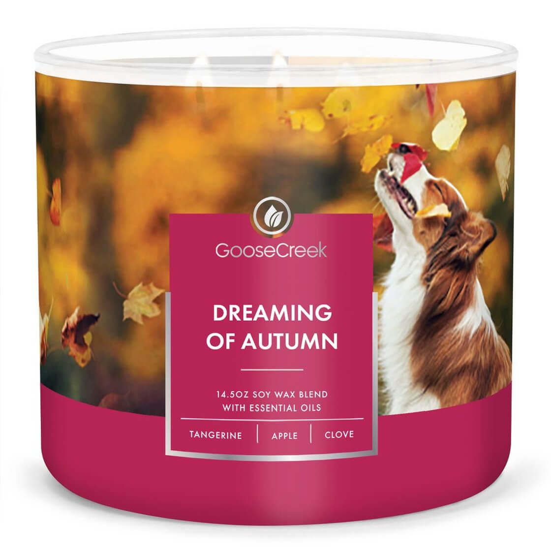 GOOSE CREEK CANDLE - vonná svíčka 3KNOT Dreaming Of Autumn, 411 g