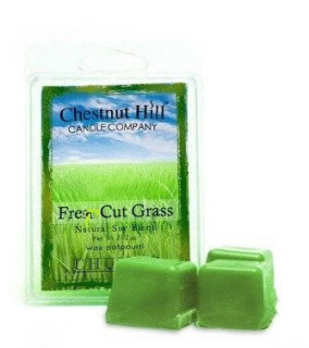CHESTNUT HILL CANDLE vonný vosk Fresh Cut Grass, 85 g