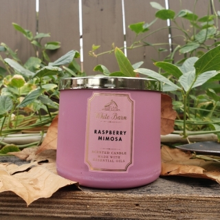 Bath and Bodyworks - vonná svíčka Raspberry Mimosa 411 g