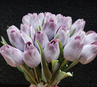Tulipán s listem Purple / White, 43 cm - dekorace