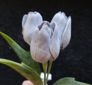 Tulipán s listem Grey White, 43 cm - dekorace