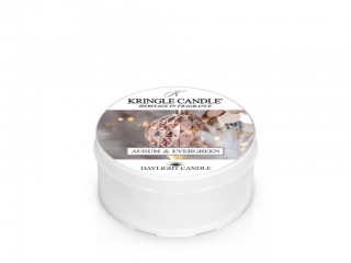 Kringle Candle – Daylight vonná svíčka Aurum & Evergreen, 42 g