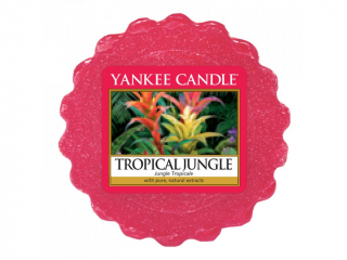 Yankee Candle - vonný vosk Tropical Jungle, 22 g