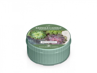 Kringle Candle – Daylight vonná svíčka Succulents, 42 g