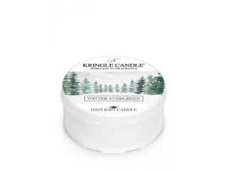 Kringle Candle – Daylight vonná svíčka Winter Evergreen, 42 g