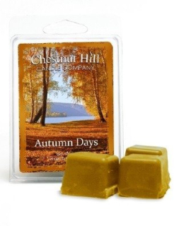 CHESTNUT HILL CANDLE vonný vosk Autumn Days, 85 g