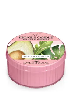 Kringle Candle – Daylight vonná svíčka Avocado & Palm, 42 g