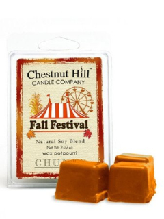 CHESTNUT HILL CANDLE vonný vosk Fall Festival, 85 g